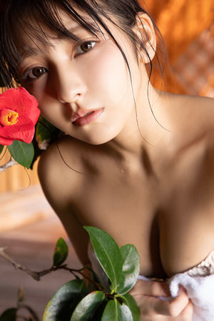 月面回响